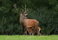 /album/fenykepgaleria/images-3-jpg1/